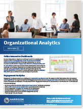 OrganizationalCompetencyAnalysis-brochure