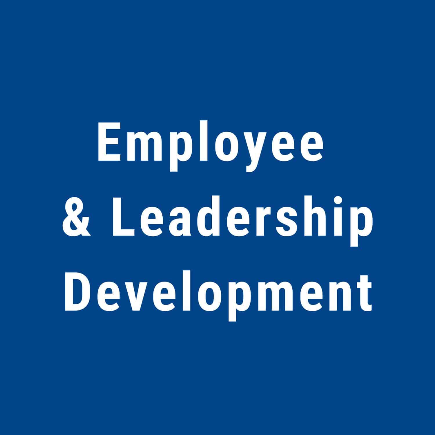 employee-leadership-development-productivity-coach